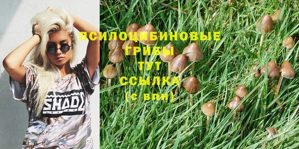 альфа пвп Липки