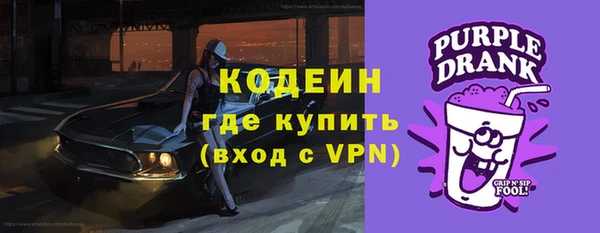 твердый Лиски