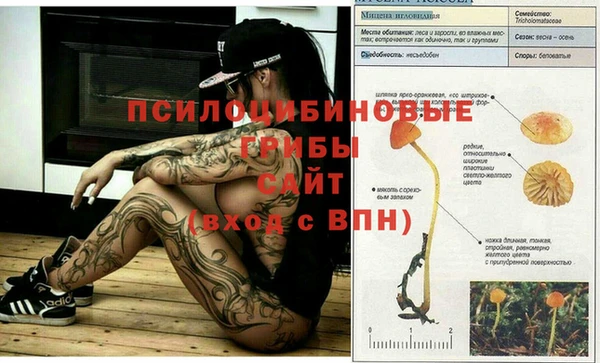 альфа пвп Липки