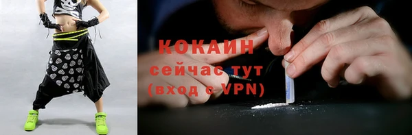 твердый Лиски
