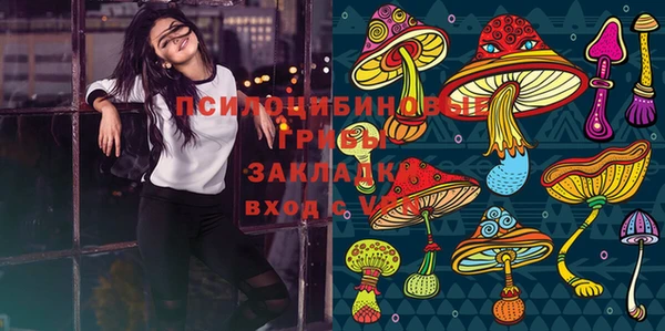 2c-b Лихославль