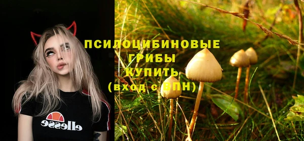2c-b Лихославль