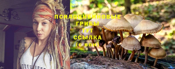 твердый Лиски