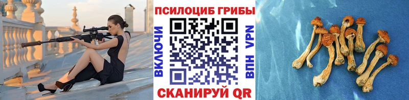 Псилоцибиновые грибы прущие грибы  Копейск 